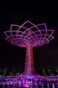 albero, expo, luci, viola, milano, notte, vita, fontana