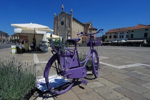 viola, bicicletta, chiesa, piazza, lavanda