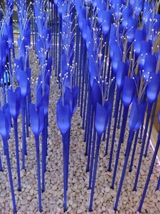 fiori, blu, luci, sassi, lampade, sassolini, expo, azzurro, ghiaia