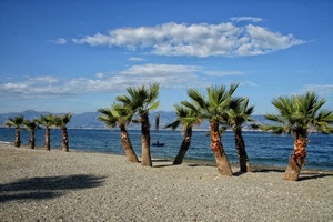 palme, spiaggia, nuvole, mare, alberi, acqua, montagne, cielo