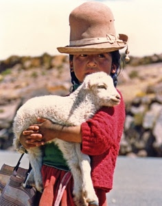 cappello, agnello, bambina, rosso, bianco, animale, borsa, pecora, mani, ovino, bambino