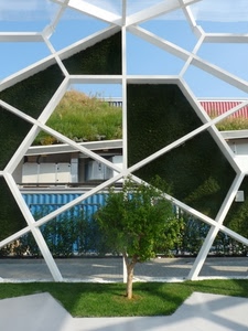 albero, verde, geometrie, bianco, nero, struttura, cielo, geometrico, erba, prato, esagono