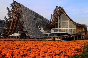 fiori, arancione, expo, padiglione, cina, arancio, tetto, cielo