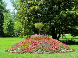 fiori, aiuola, alberi, giardino, prato, verde, parco, erba