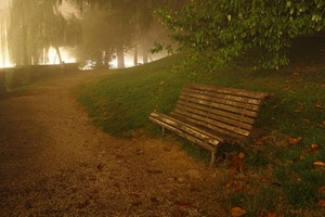 panchina, alberi, nebbia, viale, parco, foglie, verde, sentiero, strada, erba