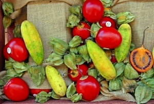 rosso, verde, frutta, pomodori, verdura, foglie, cetrioli, giallo, sacco, iuta
