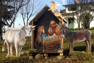 bue, angelo, presepe, asino, capanna, natività, alberi