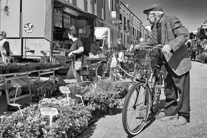 bicicletta, mercato, bianconero, piante, anziano, fiori, uomo, piantine