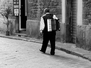 fisarmonica, bianconero, musicista, strada, uomo, porte, pianta