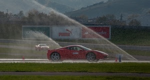 acqua, ferrari, pubblicità, rossa, erba, rosso, auto, prato, automobile, verde, pista, strada, zampilli, automobili, cartelli, spruzzo, spruzzi, macchina, due, alberi