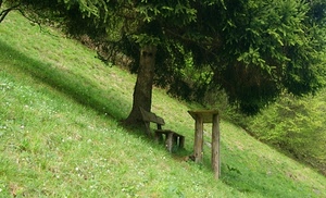 panchina, albero, tavolo, verde, prato, montagna, erba, pendio, legno