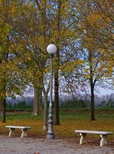 alberi, foglie, lampione, panchine, parco, autunno, due, giallo, rami, verde, sfera