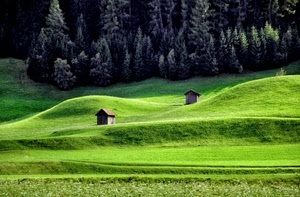 verde, alberi, prato, erba, casette, montagna, case, prati, abeti, bosco