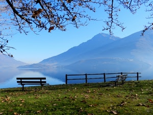 lago, panchine, montagne, prato, staccionata, rami, montagna, panchina, foglie