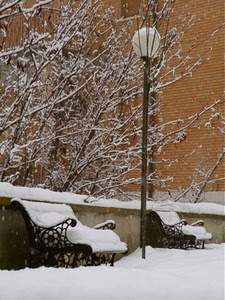 neve, lampione, panchine, rami, inverno, bianco, alberi