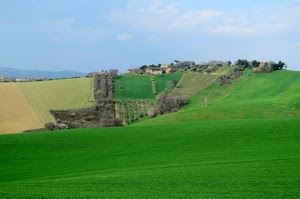 verde, case, campi, panorama, paesaggio, prati, alberi, collina, colline, erba, prato, cielo