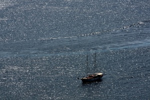 mare, barca, acqua, alberi, onde, veliero, riflesso