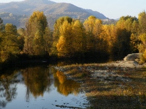 alberi, riflesso, acqua, lago, montagna, autunno, bosco, riva, fiume, verde