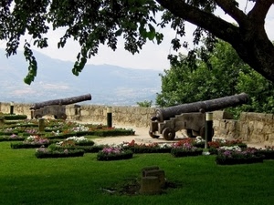 cannoni, aiuole, fiori, albero, prato, verde, erba, due, muro, aiuola