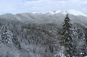 neve, alberi, montagna, montagne, nuvole, bosco, inverno, cielo, abeti, panorama, pini, monti, bianco