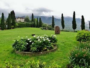verde, fiori, alberi, aiuola, prato, erba, nuvole