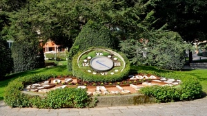 orologio, verde, aiuola, alberi, numeri, ore, aiuole, siepe, lancetta, lancette