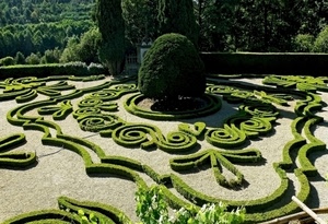 verde, aiuole, giardino, alberi, albero, siepi, aiuola, cespugli, cespuglio, disegni, siepe, piante