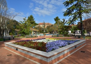 fiori, aiuola, alberi, cielo, panchine, giardino, piazza