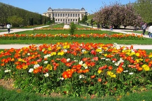 fiori, aiuole, verde, giardino, palazzo, alberi, erba, prato, colori, rosso, villa, piante, aiuola