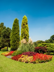 alberi, fiori, aiuola, verde, prato, cipressi, parco, aiuole, giardino, piante