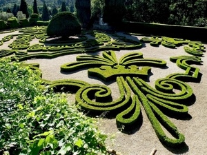 verde, giardino, piante, aiuole, alberi, disegni, siepi, parco, aiuola, stemma, erba, foglie, siepe