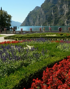 lago, fiori, giardino, aiuole, montagne, acqua, parco, verde, rosso, aiuola