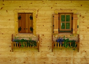 finestre, legno, fiori, due, piante, imposte, fioriere, vasi