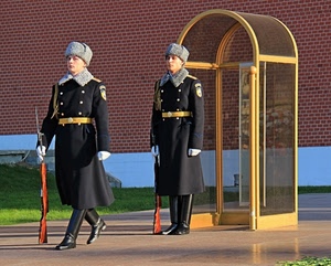 due, fucili, guardie, soldati, guardia, divisa, militari, stivali, colbacco, garitta, cambio, fucile, cappelli