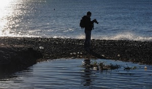 mare, fotografo, controluce, acqua, spiaggia, riflesso, sassi