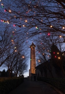 luci, campanile, rami, natale, alberi, strada, sera, torre, albero