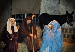presepe, asino, bambino, paglia, natale, bastone, natività, stalla, maria