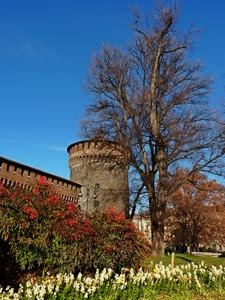 torre, fiori, castello, albero, alberi, rosso, cielo, piante, bianco