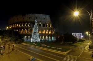 colosseo, albero, notte, natale, luci, lampione, roma, archi, strada, lampioni, alberi, strade, piazza, luce, strisce, aiuola, notturno