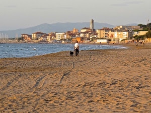 mare, sabbia, spiaggia, cane, campanile, borgo, uomo, onde, panorama, cielo, acqua, montagne, paese, case, paesaggio, passante, orme