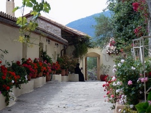 fiori, porta, rosso, vasi, vicolo, piante, donna, tetto, gerani, verde