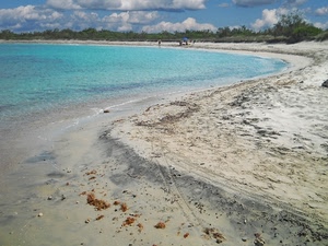 mare, sabbia, nuvole, spiaggia, cielo, alberi, azzurro, acqua, persone, curva, curve, cespugli, riva