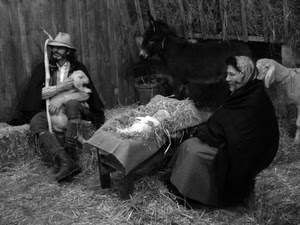 presepe, paglia, asino, bianconero, pecora, bambino, natività, agnello, culla
