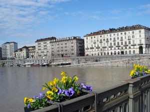 fiori, fiume, giallo, ponte, palazzi, ringhiera, torino, acqua, piante