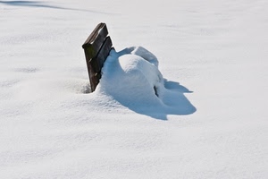 panchina, neve, bianco, inverno, ombra, legno, ombre, freddo, marrone, coperta, manto