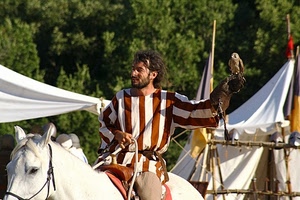 cavallo, cavaliere, falco, bianco, tende, rapace, costume, falconiere, uccello, medioevo