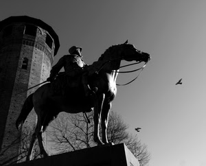 cavallo, bianconero, torre, statua, monumento, equestre, uccelli, alberi