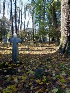 alberi, cimitero, foglie, croci, verde, tombe, croce, giallo, ombre, ombra, autunno, tronchi
