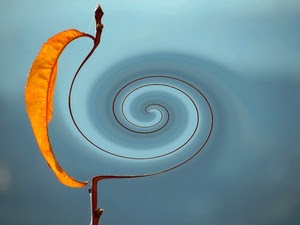 foglia, spirale, azzurro, ramo, giallo, astratto