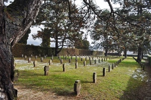 cimitero, alberi, tombe, prato, croci, erba, lapidi